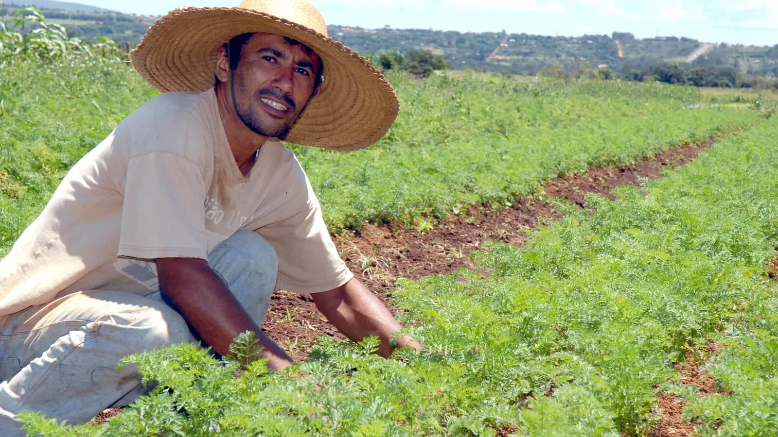 Agricultor de chapéu de palha trabalha em plantação no Brasil