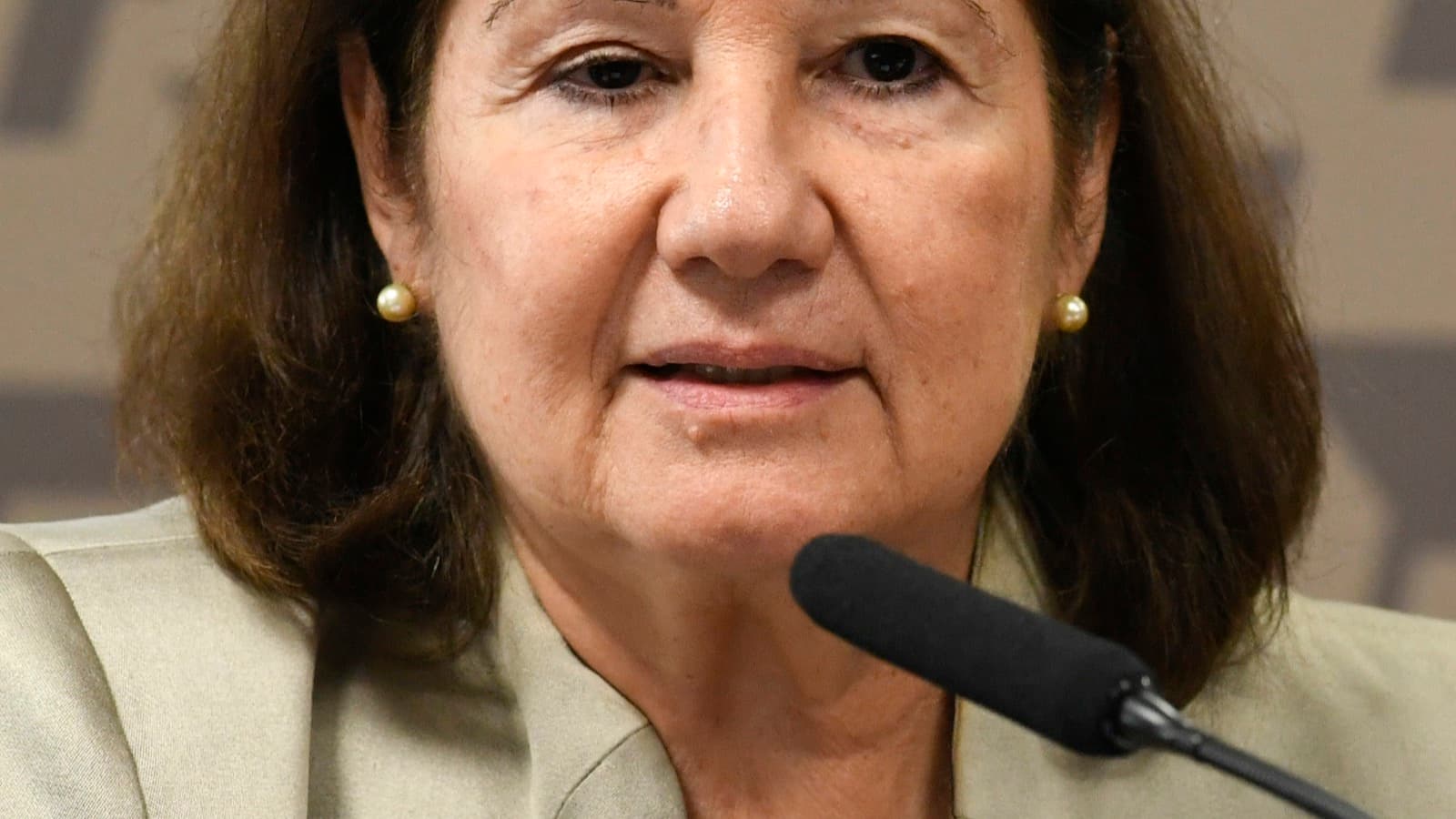 Embaixadora Maria Luiza Ribeiro Viotti fala ao microfone durante sabatina no Senado