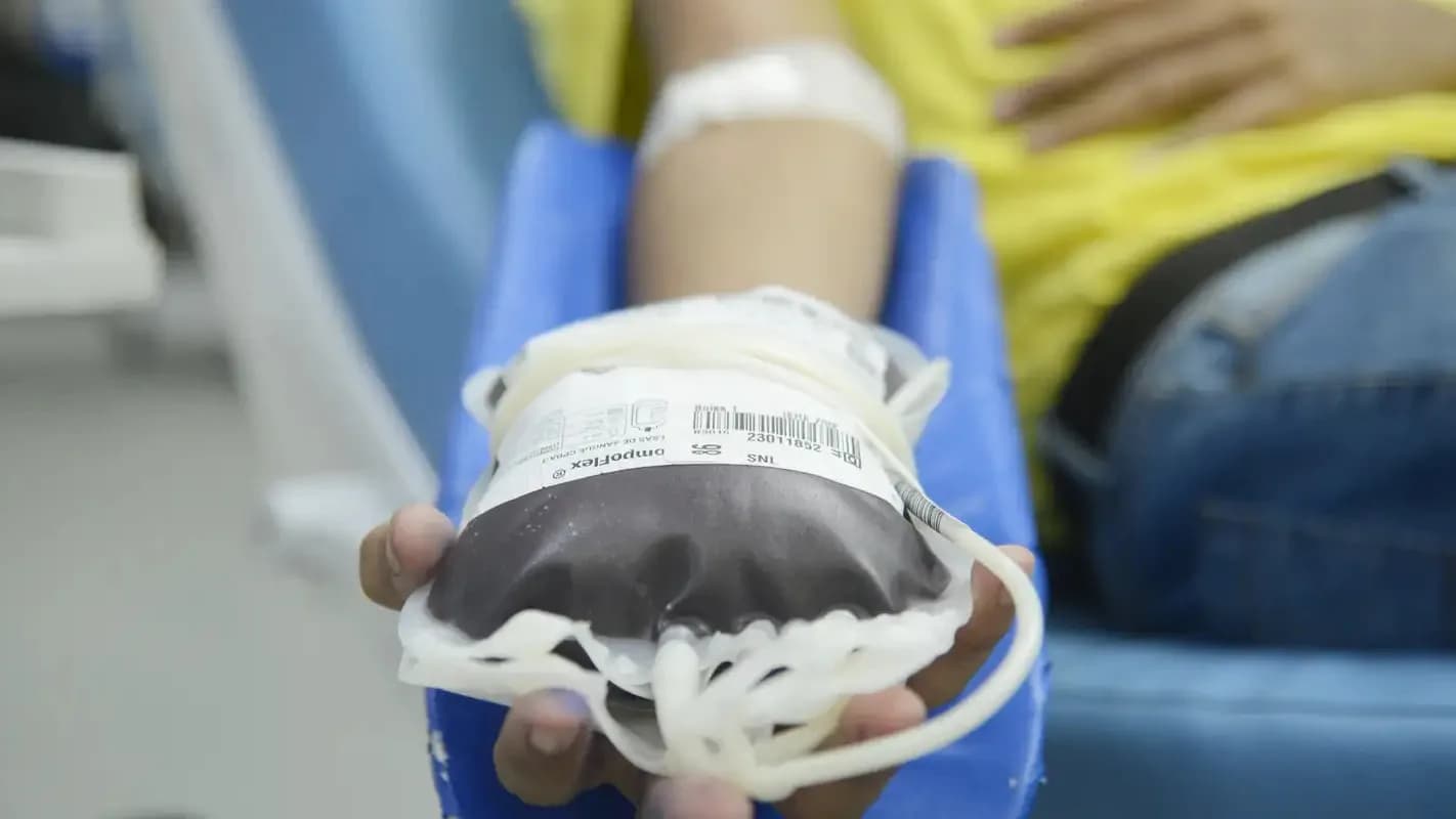 Bolsa de sangue conectada por via intravenosa ao braço de uma pessoa durante coleta