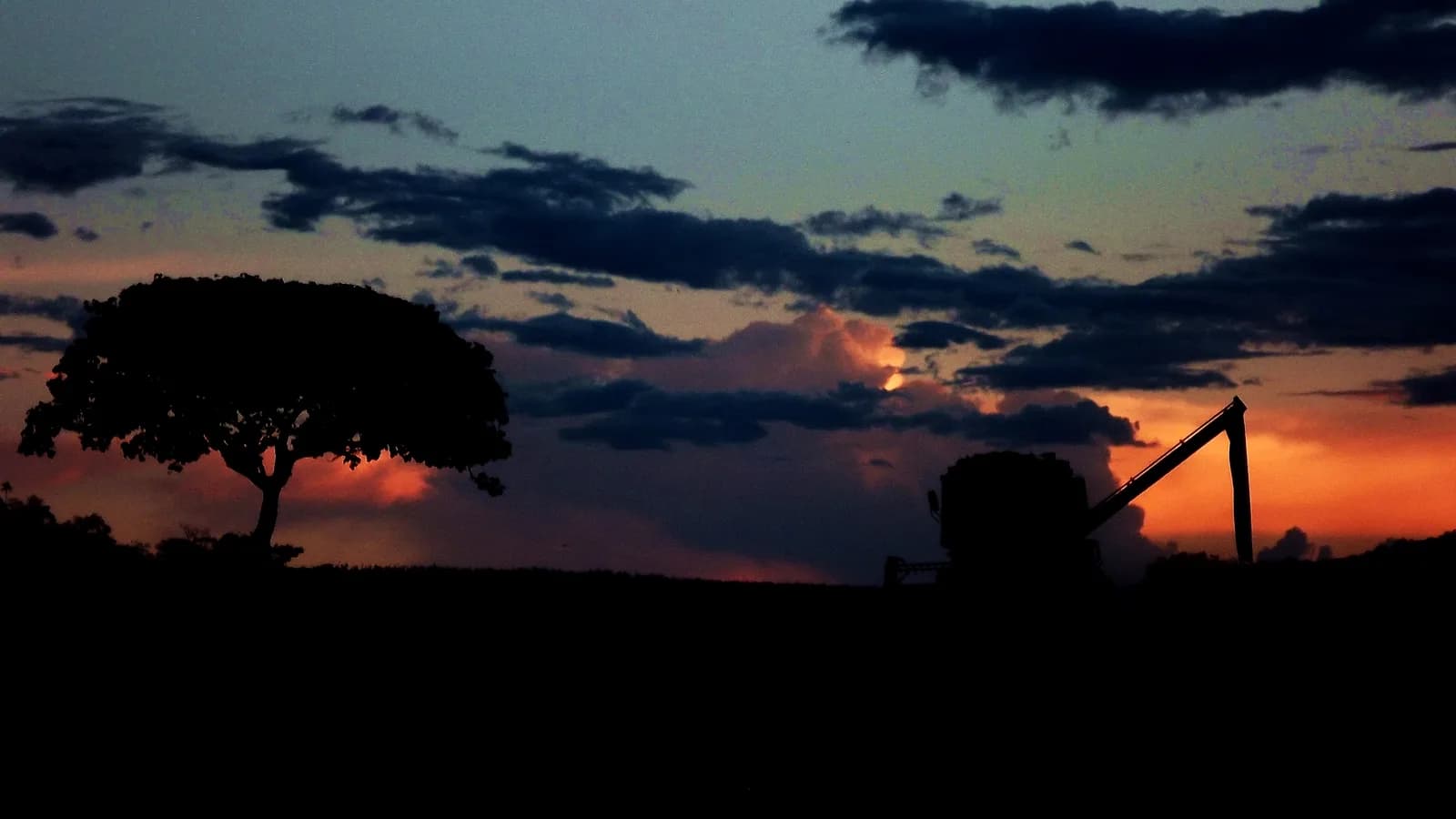 Colheitadeira trabalha em lavoura de soja ao entardecer em fazenda brasileira