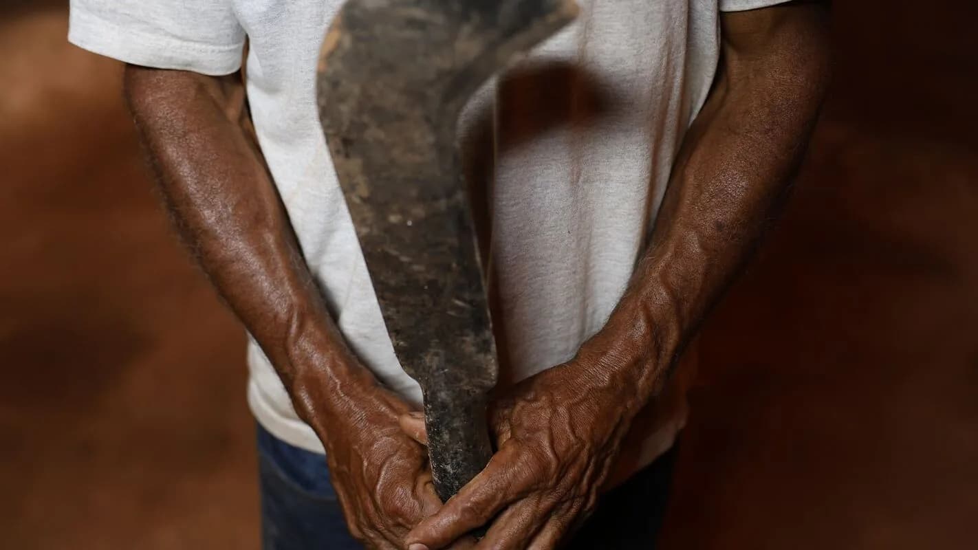 Mãos de trabalhador rural em contato com solo seco