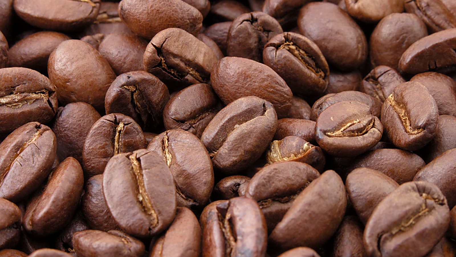 Grãos de café torrados em close
