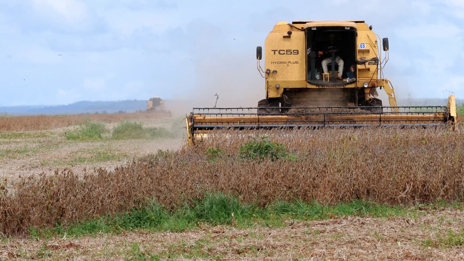 Colheitadeira amarela com operador colhe soja em plantação no interior do Mato Grosso