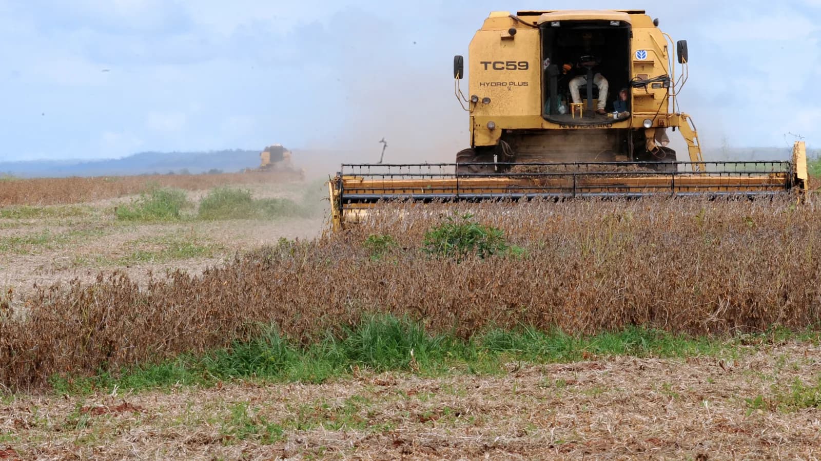 Colheitadeira amarela colhe soja em plantação de Rondonópolis, Mato Grosso (foto de arquivo)