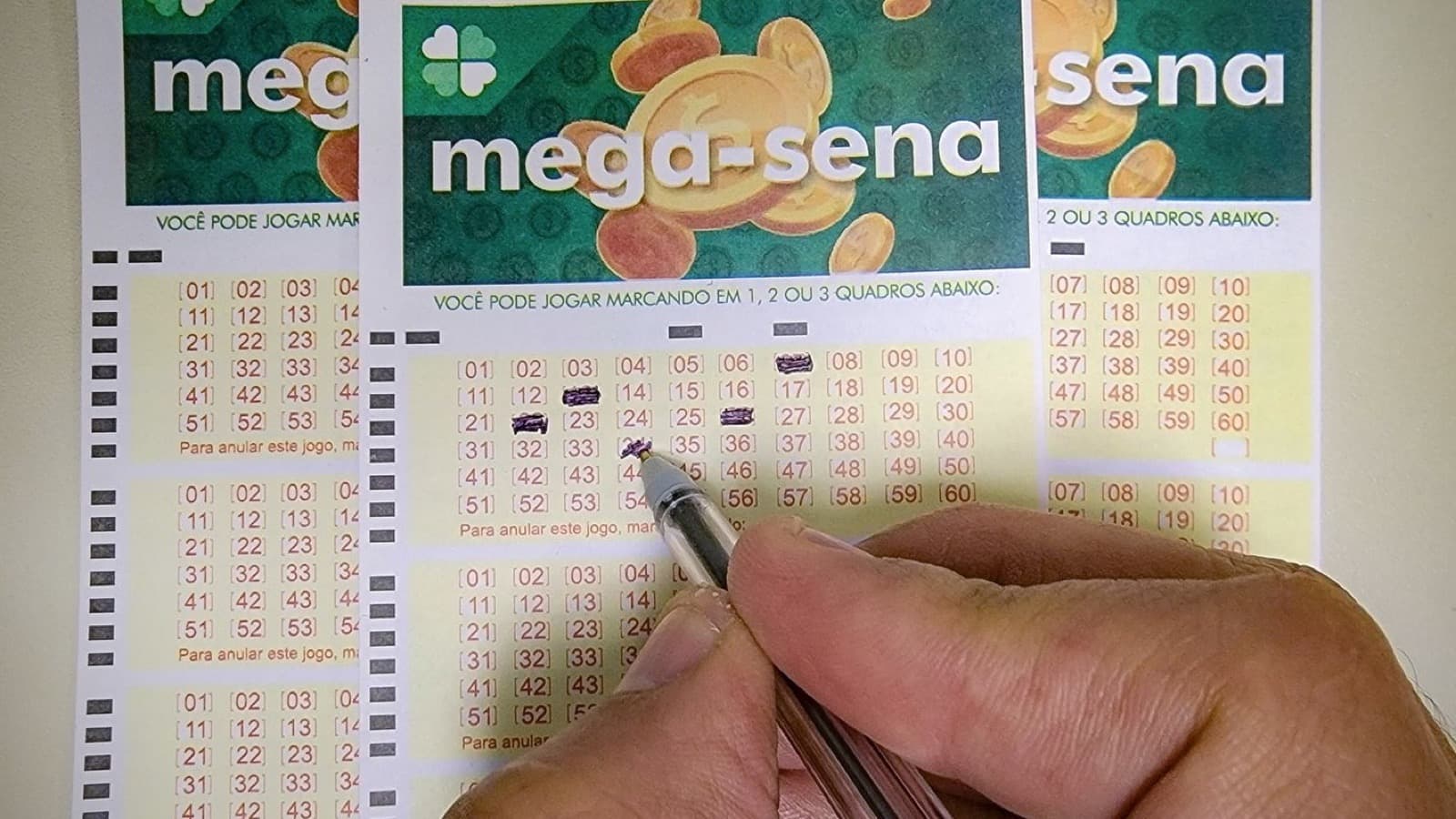 Mão preenche volante da Mega-Sena com caneta (foto de arquivo)